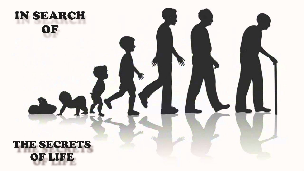 In Search Of The Secrets Of Life ... With Leonard Nimoy (1977).