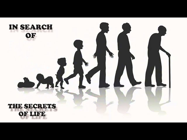 In Search Of The Secrets Of Life ... With Leonard Nimoy (1977).