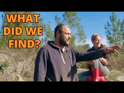 Alla scoperta di tesori nascosti nella nostra terra abbandonata ❤️