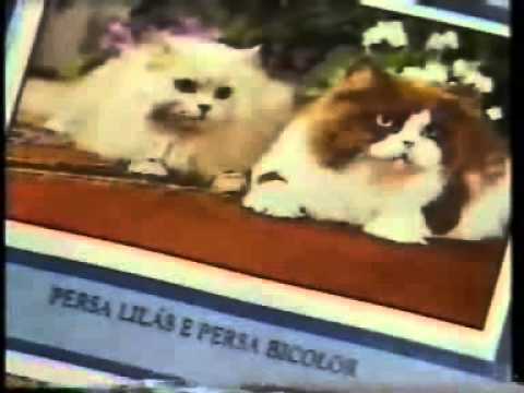 Intervalo Os Trapalhões - Rio de Janeiro/RJ (21/05/1989) [1]