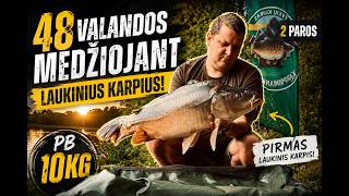 🎣 48 VALANDOS MEDŽIOJANT LAUKINIUS KARPIUS! 💥 Pirmas laukinis PB – 10 KG! + KONKURSAS!!!