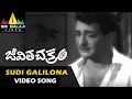Jeevitha Chakram Video Songs Sudi Galilona Video Song NTR Vanisri Sharada Sri Balaji Video