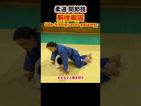 【脚で関節を極める！】腕挫脚固について解説します　#柔道 #judo #寝技 #関節技 #腕挫脚固 #腕ひしぎ脚固 #shorts