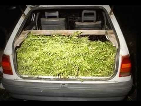 Tapi,Tebrex,Comi 'Mama' riva