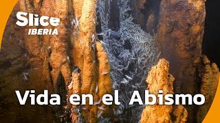 Thumbnail del capítulo