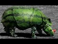 5 Animals Created By Humans