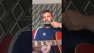 The Downstream (ocean colour scene cover)