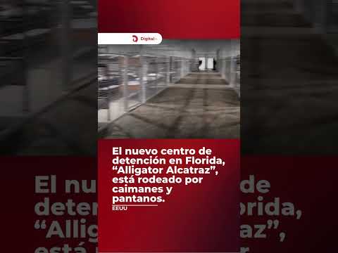 Nueva cárcel en Florida… ¡rodeada de caimanes! 🐊😳