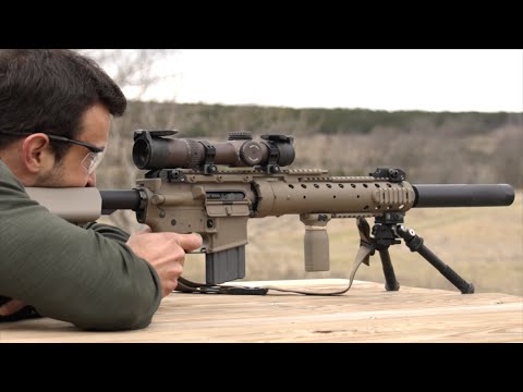 My Favorite AR I Own! (The Do-All Rifle)