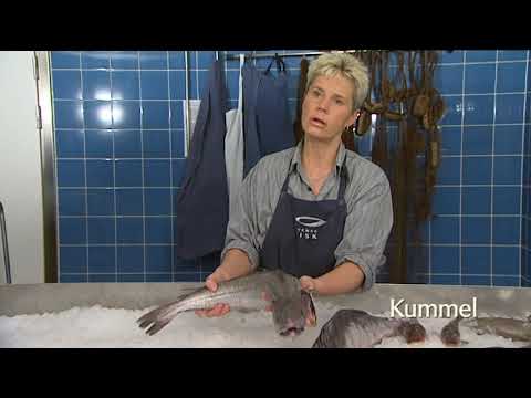 poster-bild för video