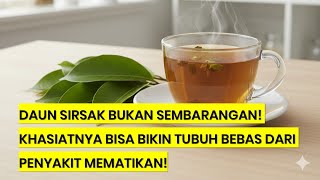 Download lagu Daun Sirsak untuk Obat Apa? Ternyata Bisa Atasi Banyak Penyakit Secara Alami! 🍃✨ mp3