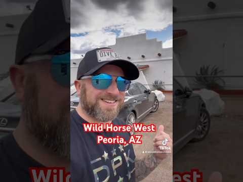Wild Horse West Video Review