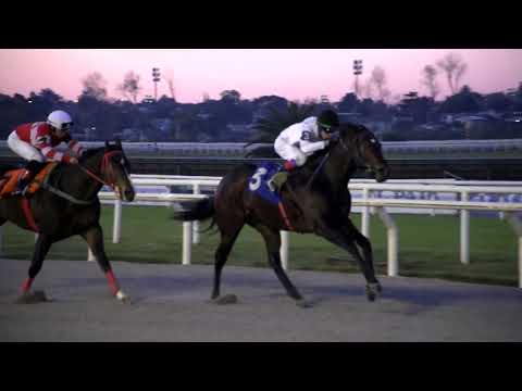 220603 c02 FREEDOM OF SPEECH (BRZ)