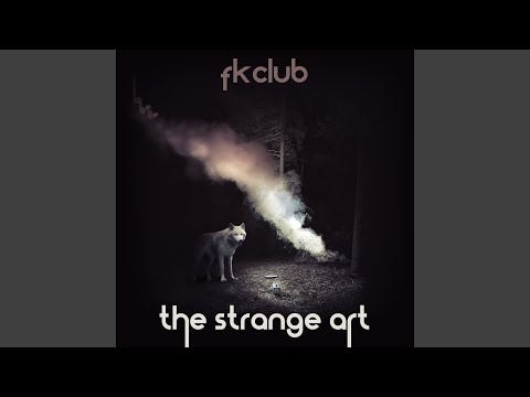 The Strange Art (Dj Steef Remix)