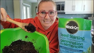 How to CLEAN your soil BEFORE planting seeds | Kill Fungus Gnat Larvae
