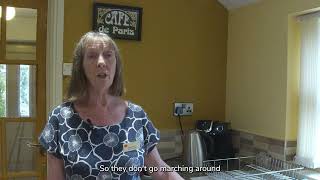 The Post Office Inside a Kitchen 🍳 | Places of the Post Office (Episode 3)