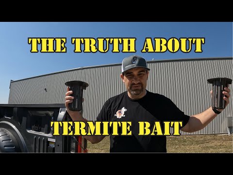 Are You Getting Scammed By Termite Bait Systems?