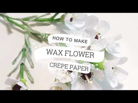 [GET FREE TEMPLATE!!] CREPE PAPER WAX FLOWER! FULL TUTORIAL :)