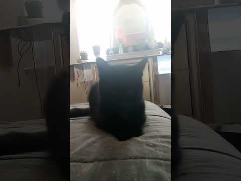 Queen ❤️👑 Jina