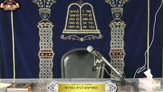 בית המדרש "תורת דוד" ¤ שידור חי ¤ ט' טבת תשפ"ו (29.12.2025) (מוסדות תורת דוד) - התמונה מוצגת ישירות מתוך אתר האינטרנט יוטיוב. זכויות היוצרים בתמונה שייכות ליוצרה. קישור קרדיט למקור התוכן נמצא בתוך דף הסרטון