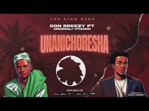 Don Breezy Feat . Msomali Vitamin -Unanichoresha ( Official Music Audio )