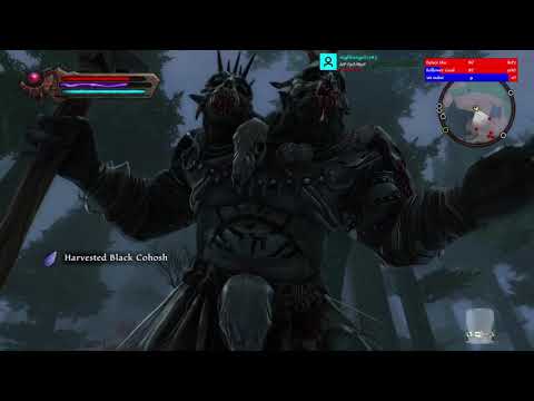 Exploring Dalentarth!  Let's Play Kingdoms of Amalur Re-Reckoning Hard Mode Part 3