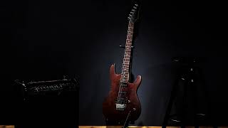 Watcha - Sam2 (guitar solo)