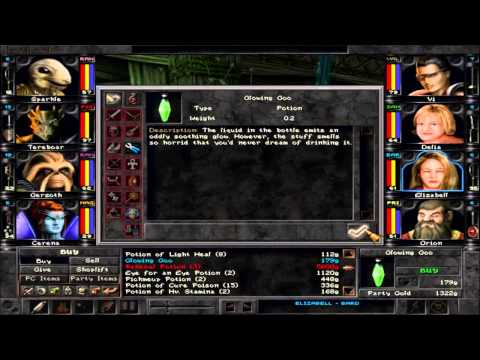 Let's Play Wizardry 8 on Expert Part 13 - Barking Up a Very Big Tree