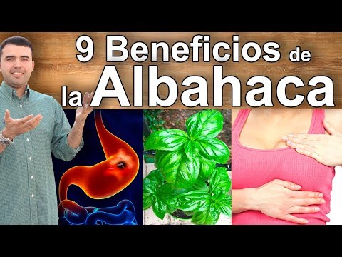 Para Que Sirve la Albahaca - 9 Beneficios y Propiedades de la Hoja de Albahaca