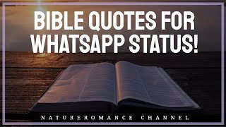 Bible quotes WhatsApp status - Faith During Pandemic Bible quotes WhatsApp status - Faith During Pandemic