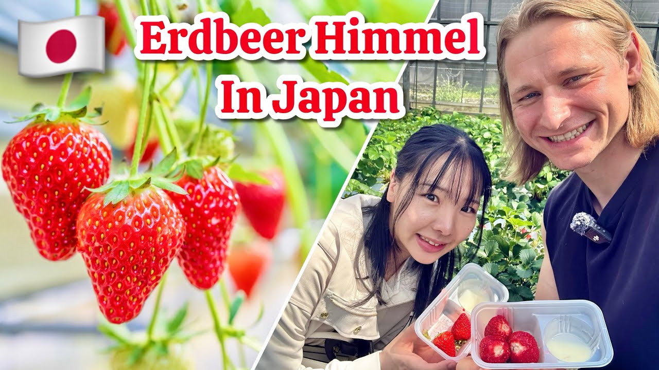 Essen bis zum Umfallen! Erdbeerpflücken mit JAPANISCHER Familie!
