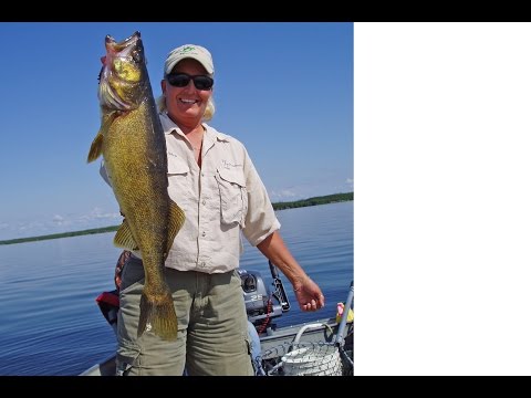 Budd's Gunisao Lake Lodge Walleyes
