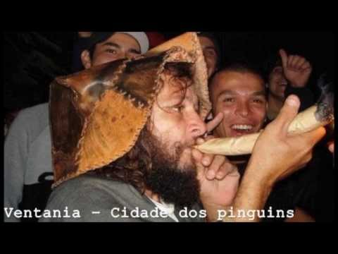Cidade Dos Pinguins video