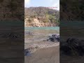 Rishikesh Uttrakhand Ganga River Haridwar India Haridwar Rishikesh Trendingsong