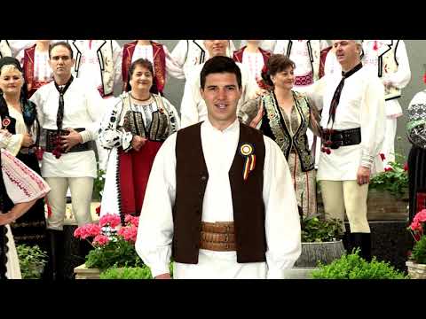Florin Filip - Canta puiul cucului