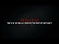 Burzum - Feeble Screams from Forests Unknown (cover by Lex Lux)