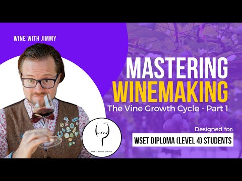 WSET Level 4 (WSET Diploma) Mastering Wine Production: The Vine Growth Cycle part 1 - Introduction