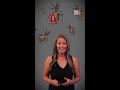 ‘Kissing Bug’ Disease Is Spreading In The US