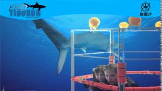 DIA 3 Expo Tiburon73