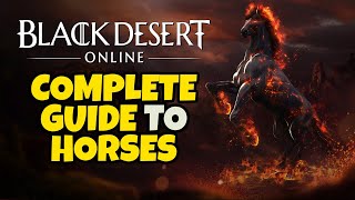 Beginners Guide to Horses in Black Desert Online