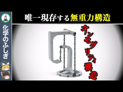 スクティガーについて詳しく解説