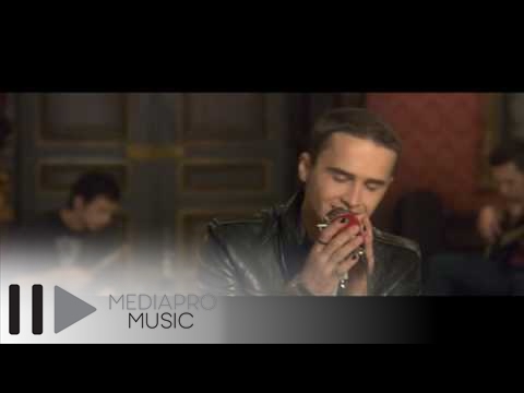 Animal X - Nisip purtat de vant