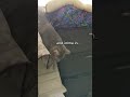 This Is Lil Pawsitives Household Shorts Cat Cats Catoftheday