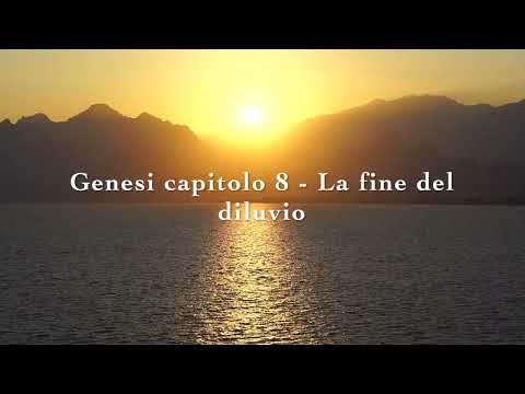Genesi capitolo 8 - Sintesi - La fine del diluvio