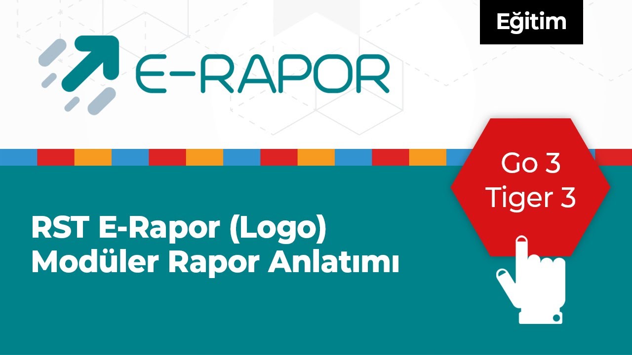 RST E-Rapor (Logo) Modüler Rapor Anlatımı
