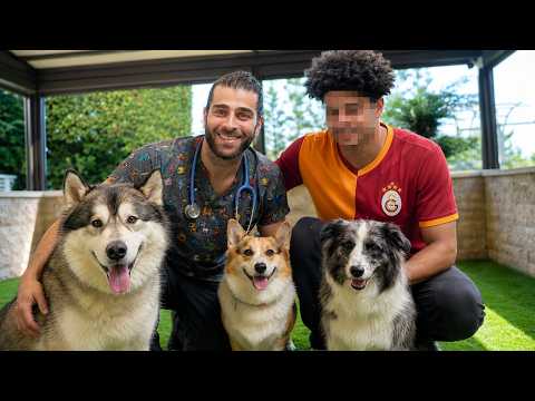 Meeting a Brazilian Football Star's 3 Dogs! (Home Vet Visit)