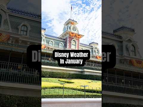 Here’s what the weather is actually like at Disney in January 🥶🥵 #disneytipsandtricks #disneytrip