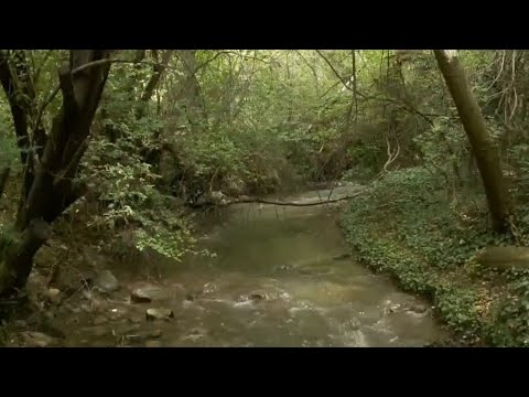 Concrete spills into Millcreek stream