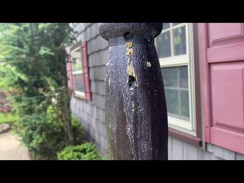 Pillar Destroyed by Carpenter Bees in Freehold, NJ