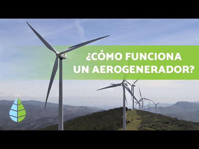 Wind energy: how it is produced, what are its advantages and what types are there